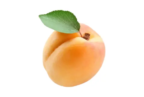 Pakistani Fruit Apricot, also known as Khubani in Pakistan