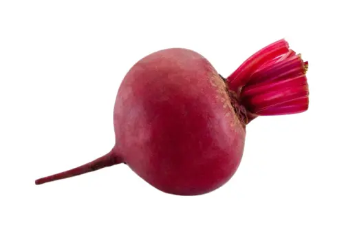 Pakistani Vegetable Beetroot, also known as Chukandar in Pakistan