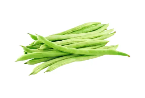 Pakistani Vegetable Bush Bean, also known as Green Bean in Pakistan