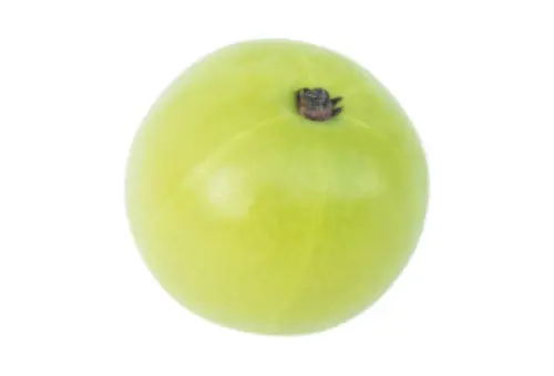 Pakistani Vegetable Gooseberry, also known as Amla in Pakistan