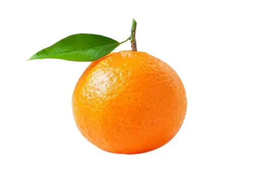 Pakistani Fruit Mandarin Orange, also known as Kinnow in Pakistan