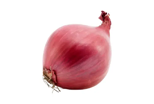 Pakistani Vegetable Onion, also known as Pyaaz in Pakistan