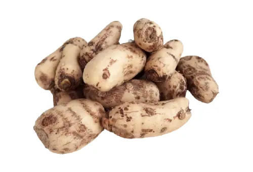 Pakistani Vegetable Taro Root, also known as Arbi in Pakistan